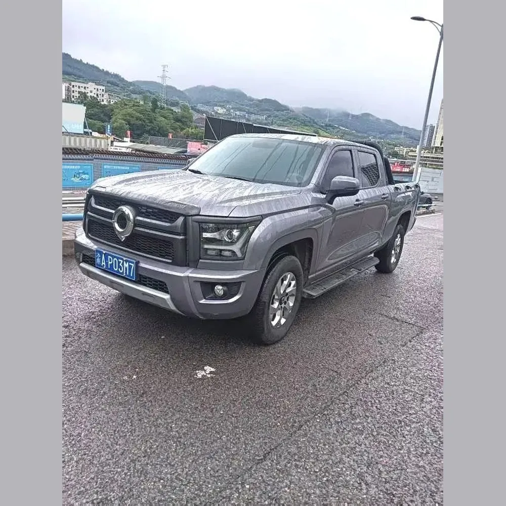Great Wall King Kong Poer